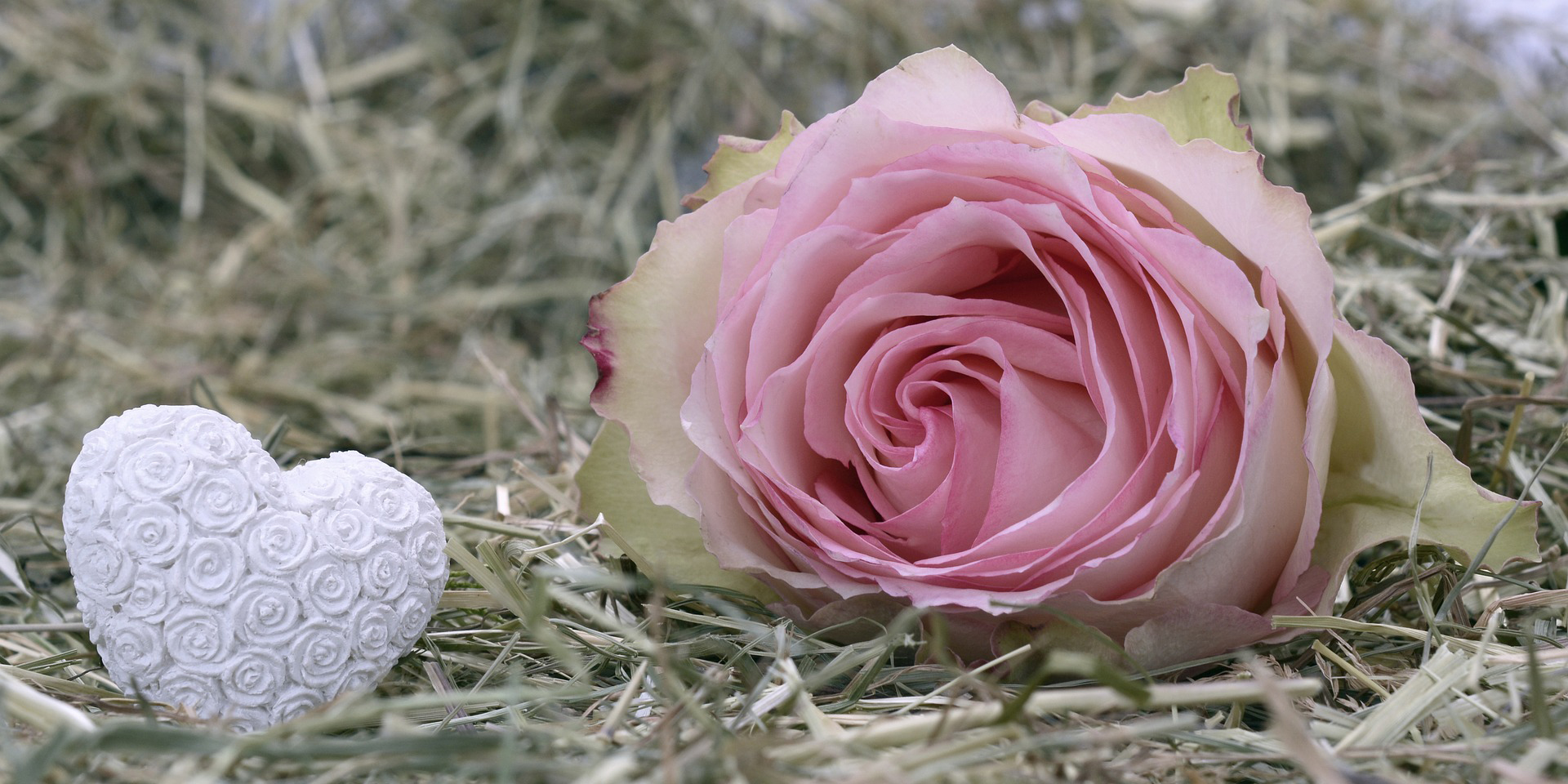 Rosafarbene Rose und weißes Keramikherz im Stroh ,© Bild: pixabay/ancapictures 
